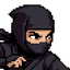 Ninja